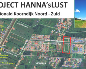 Project Hanna’s Lust